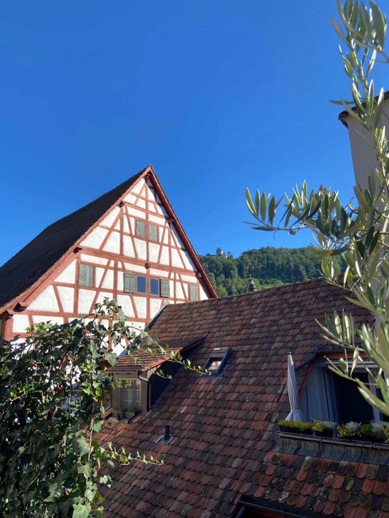 Understadt 14 Guesthouse Stein Am Rhein Luaran gambar